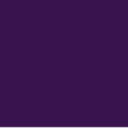 943 Eggplant