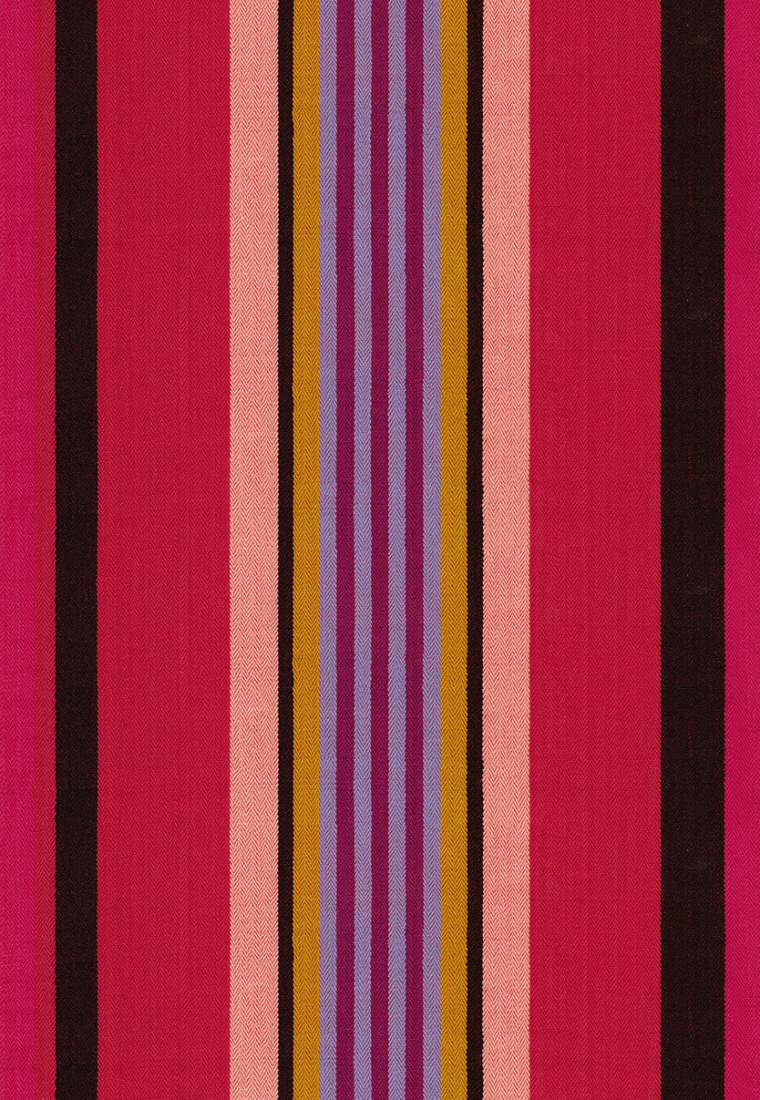 Director Twill - Warm