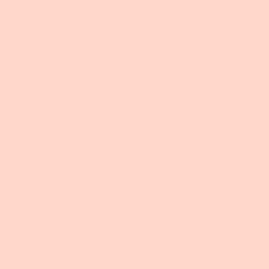 Blush Pink Colorworks