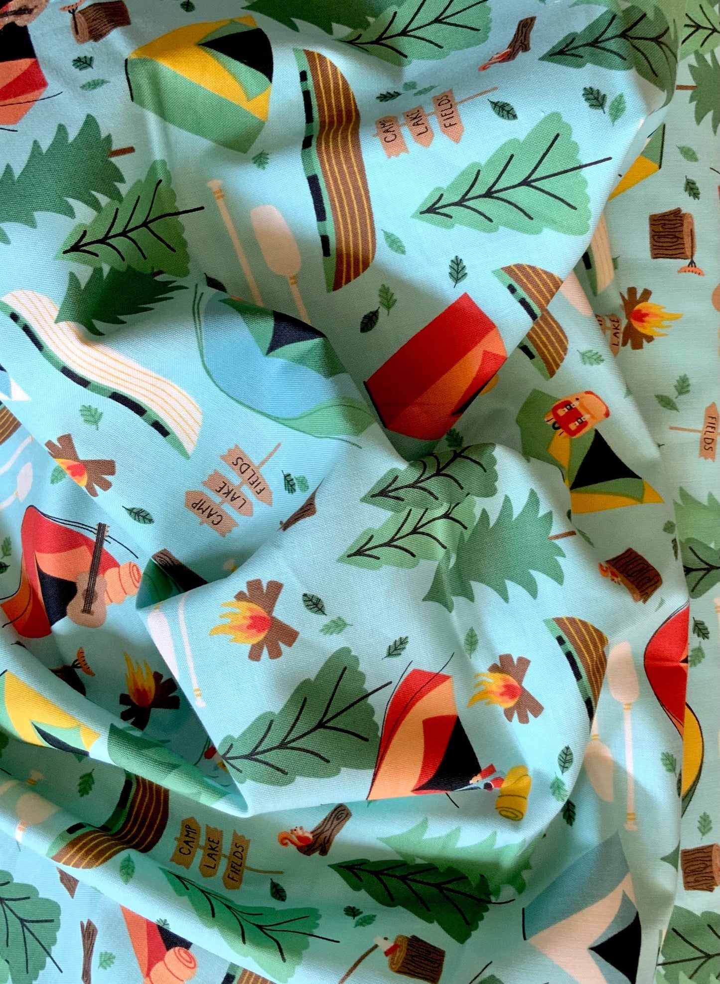 camping-crew-cotton-fabric-blue-cotton-and-steel-rjr