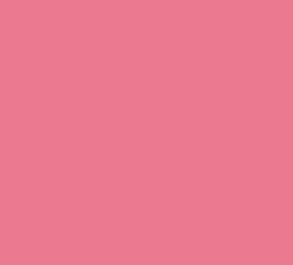 Desert Rose Pink Colorworks