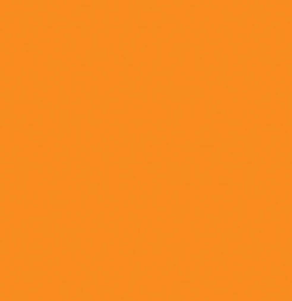 Pumpkin Colorworks