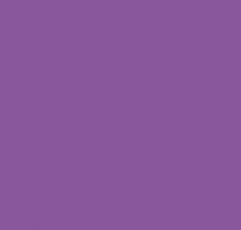 Violet Purple Colorworks
