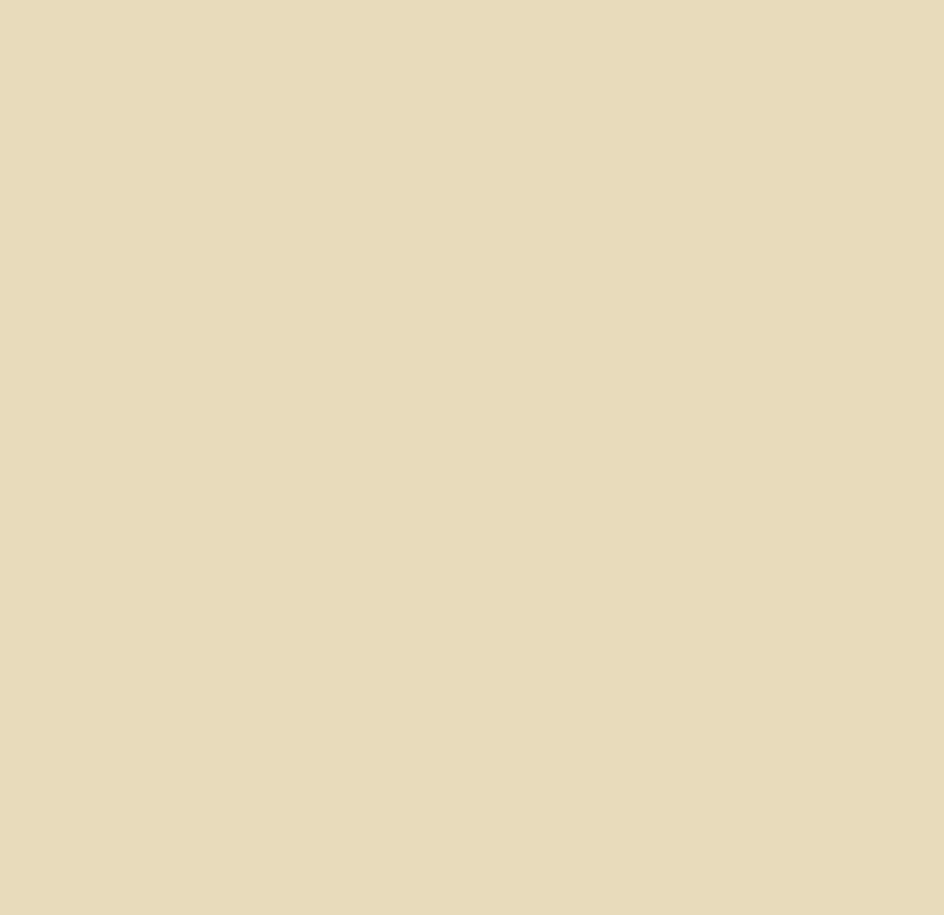 Sandstone Beige Coloworks