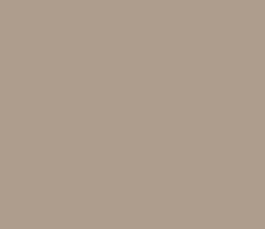 Seal Skin Brown Colorworks