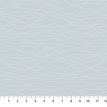 Snow Lines Ice
