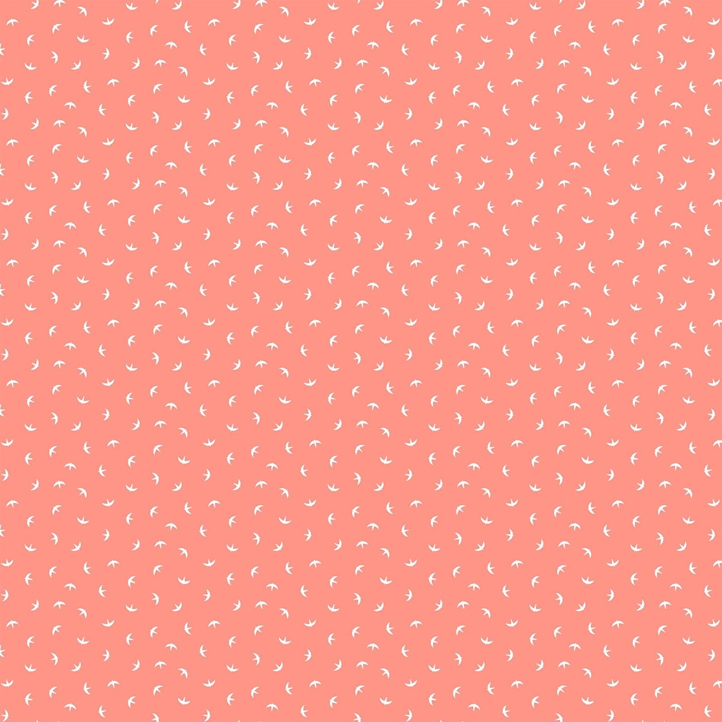 Flying Birds on Coral
