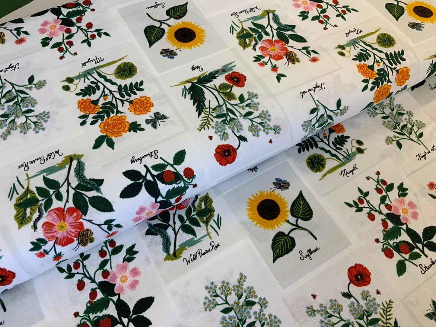 flower-varieties-curio-rifle-paper-co-rp1101-pm1