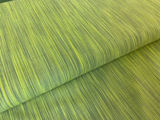 Space dye pistachio - pistachio W90830-71 FIGO FABRICS