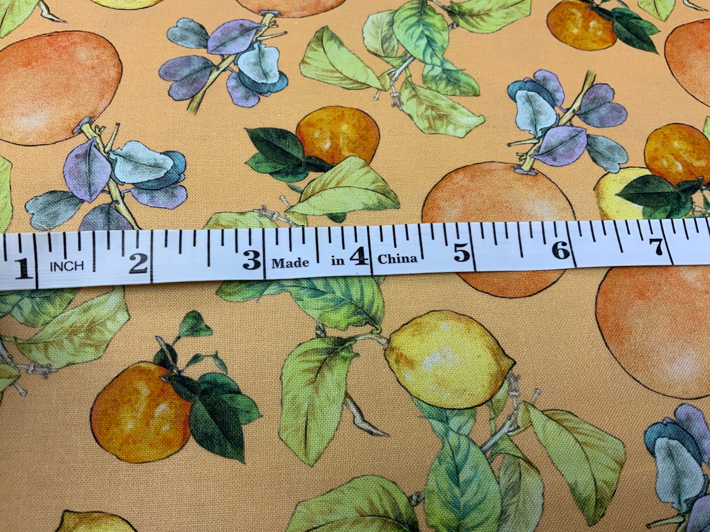 Summer Citrus on Orange