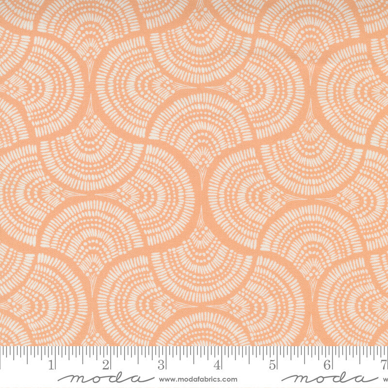 Lady Bird Cantaloupe