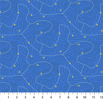 Around the Campfire Constellations Blue