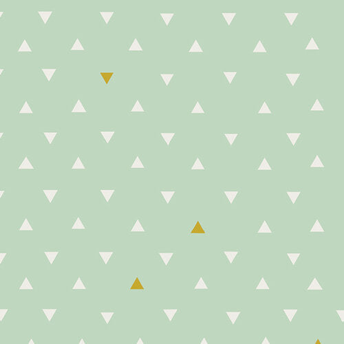 Arizona Triangle Tokens