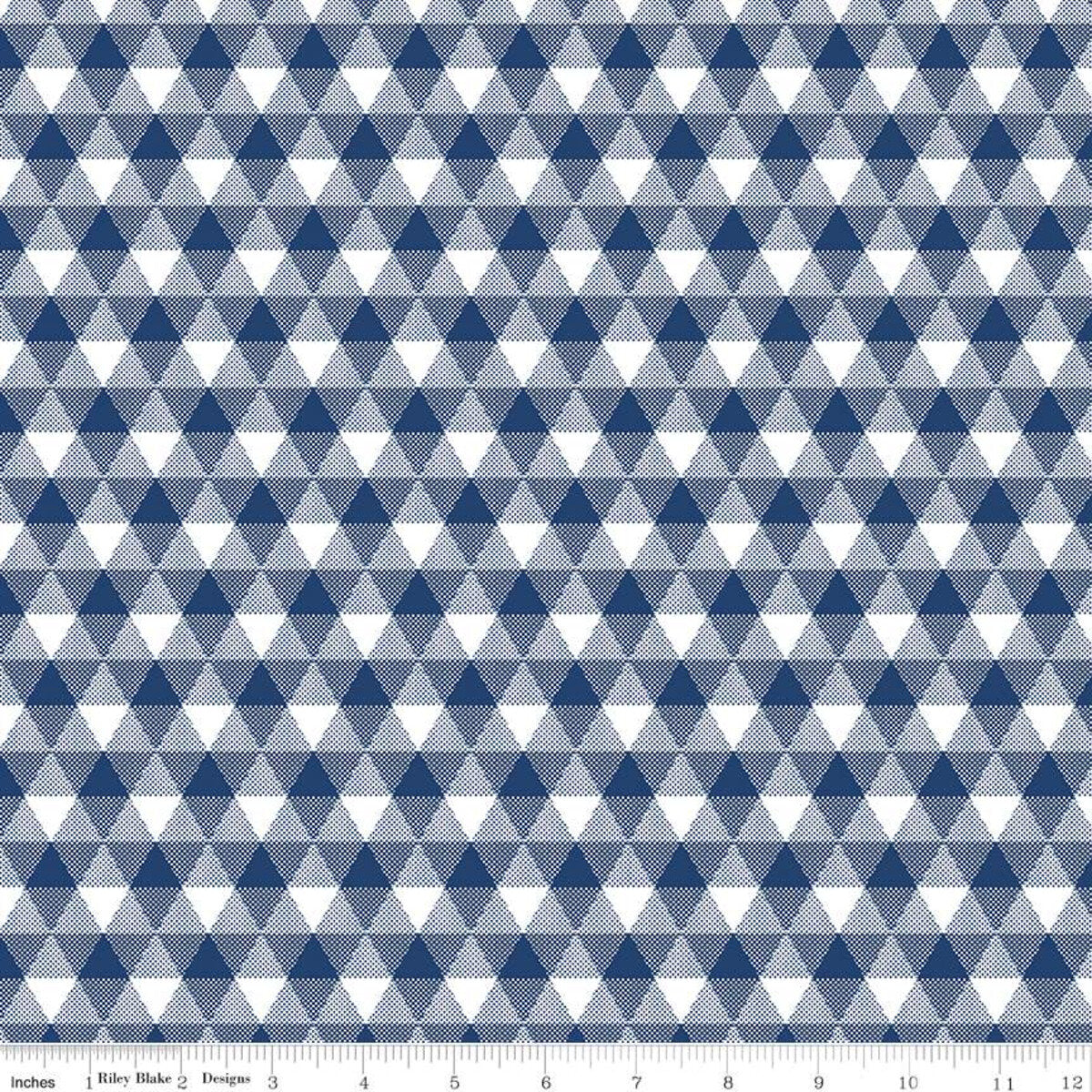 Land of Liberty Triangle Gingham Navy