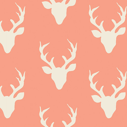Hello, Bear Buck Forest Peach