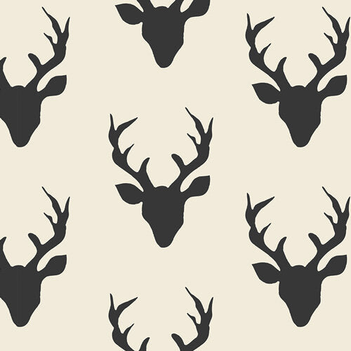 Hello, Bear Buck Forest Night