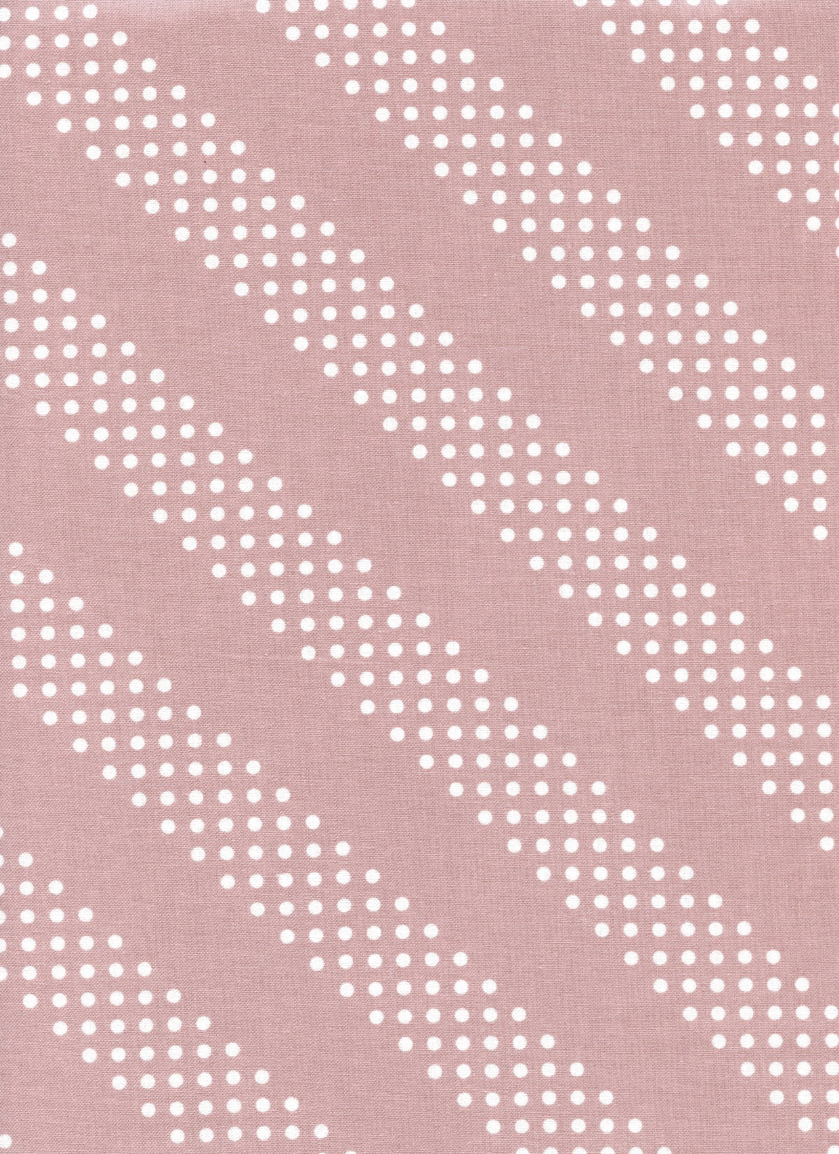 Dottie Rosewater