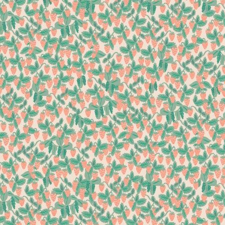 Strawberries - Blush