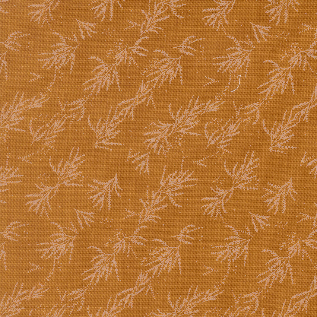 Wellspring Coral Seashell
