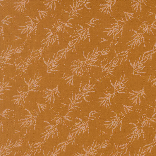 Wellspring Coral Seashell