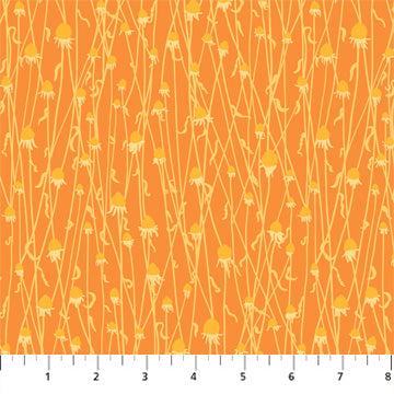 Orange Dried Flowers