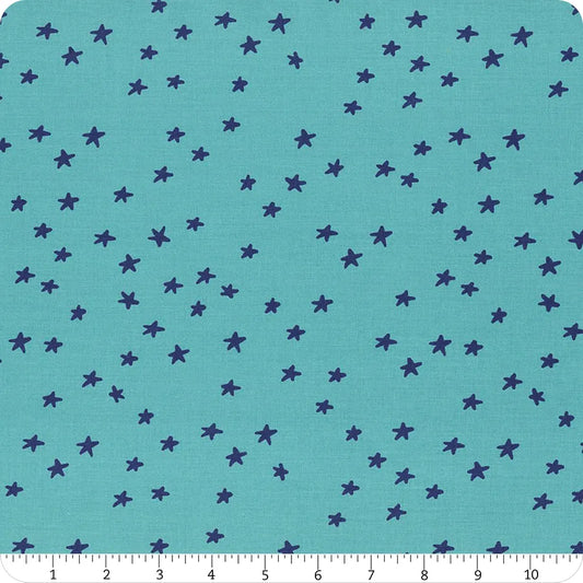 Starry Turquoise