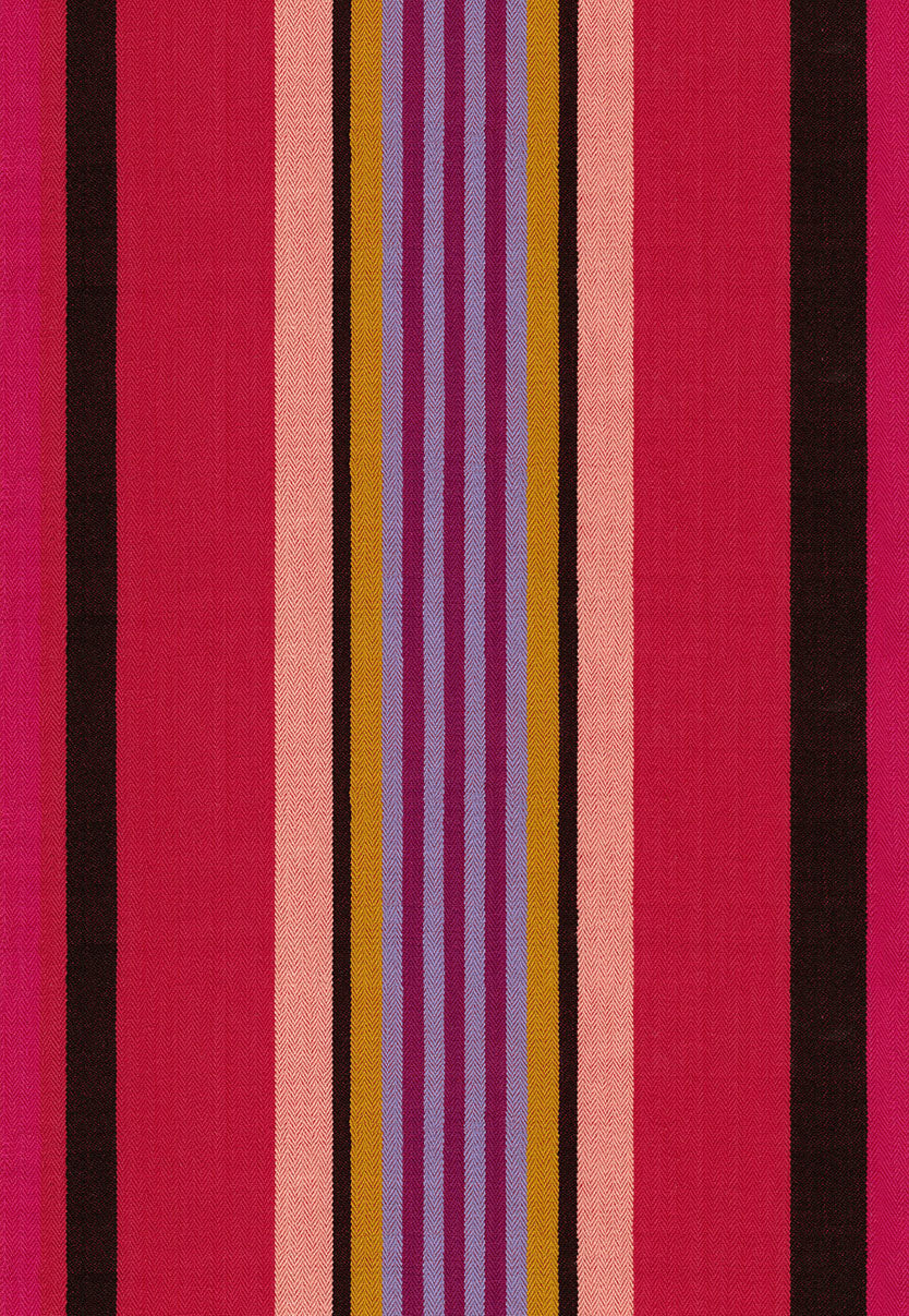 Narrative Fabric Bundle