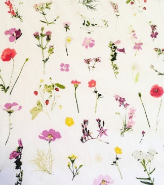 Petal Picking Wildflowers