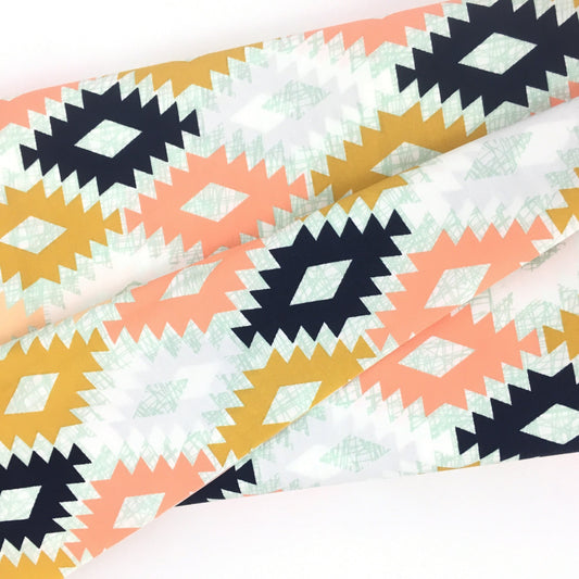 Arizona Agave Fields