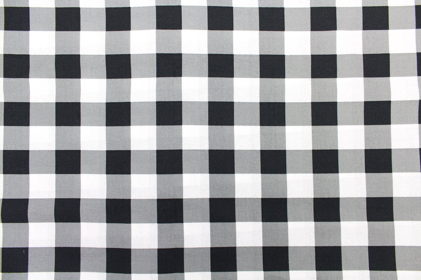 Black and white Buffalo Check