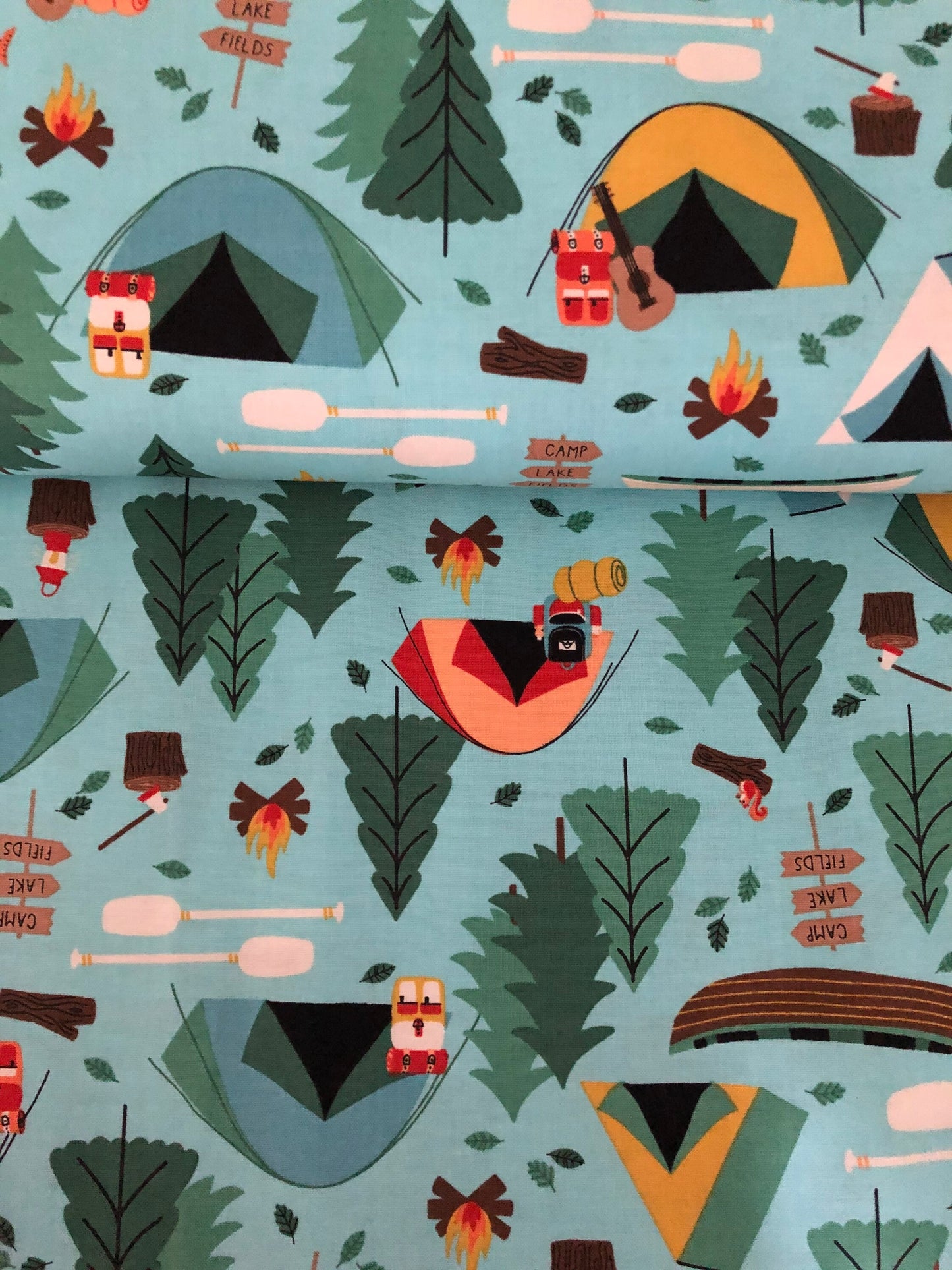 camping-crew-cotton-fabric-blue-cotton-and-steel-rjr