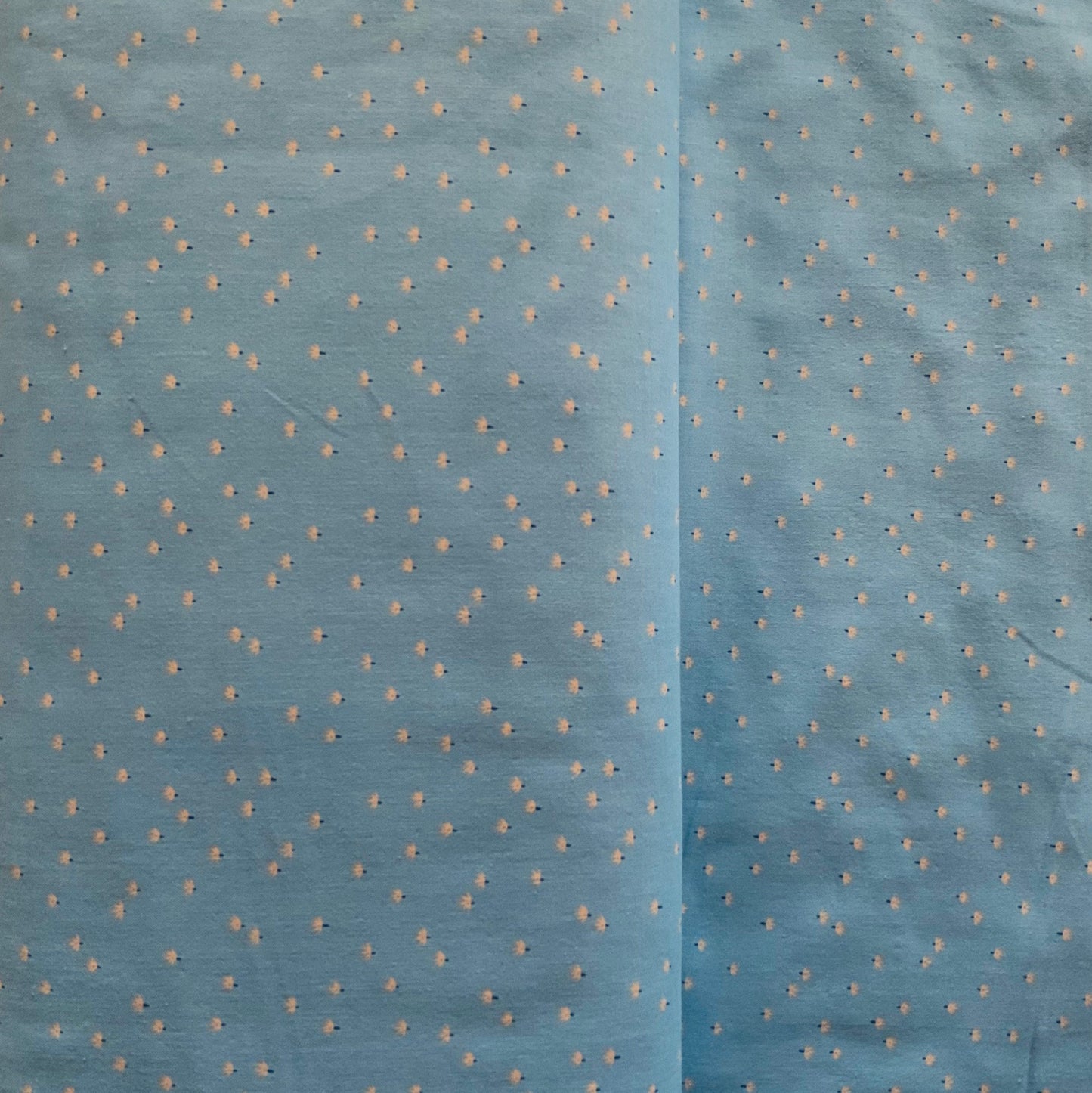 Sky Blue Ditty Floral