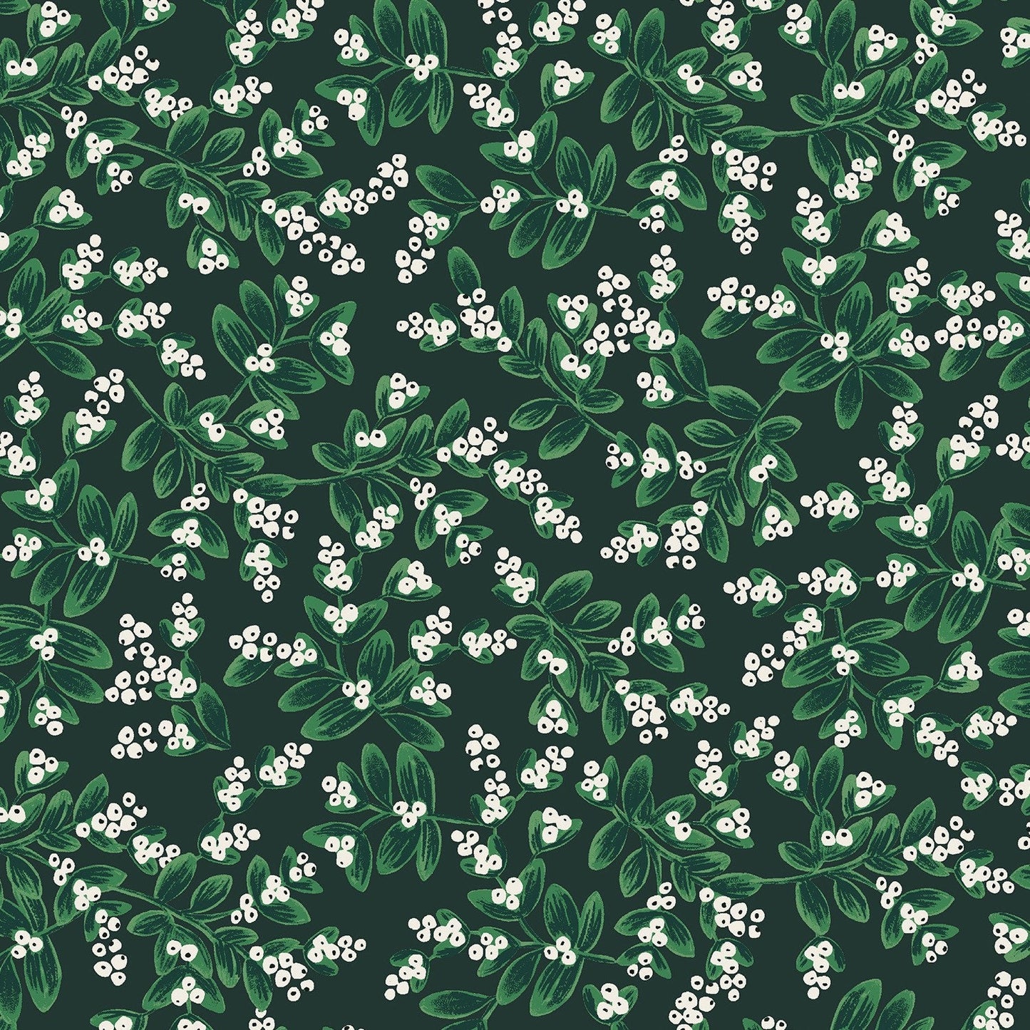 Mistletoe Evergreen