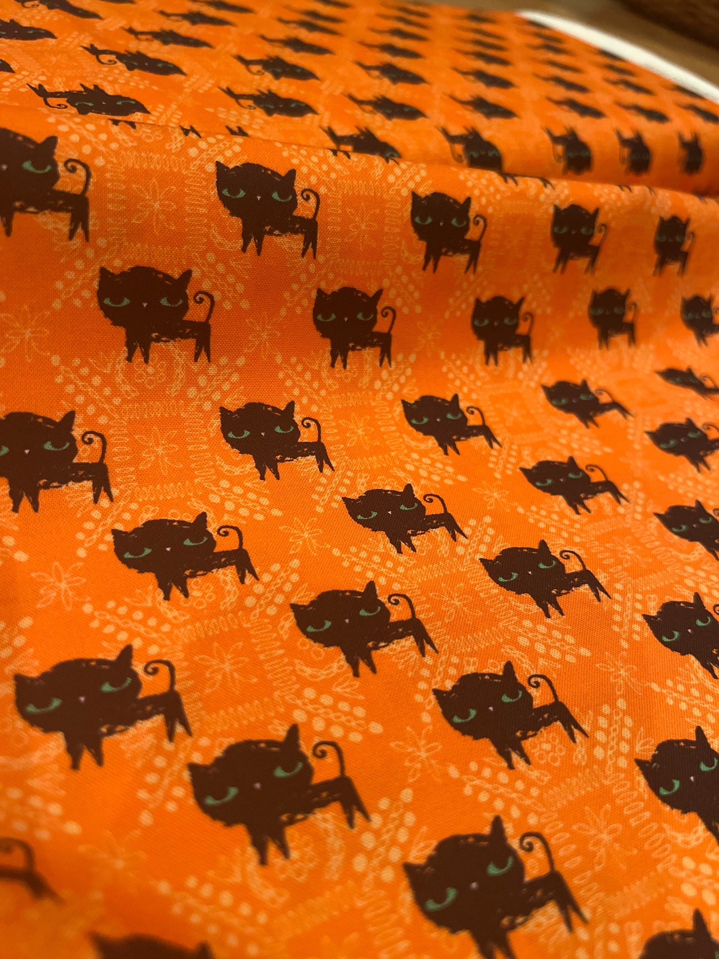 Black Cats at Halloween