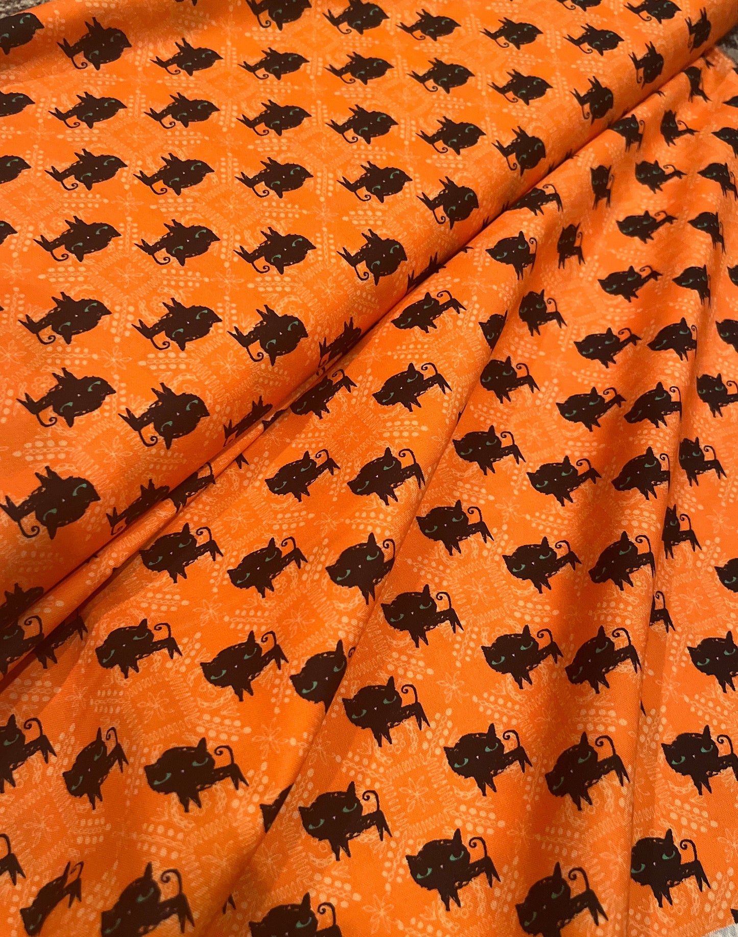 Black Cats at Halloween