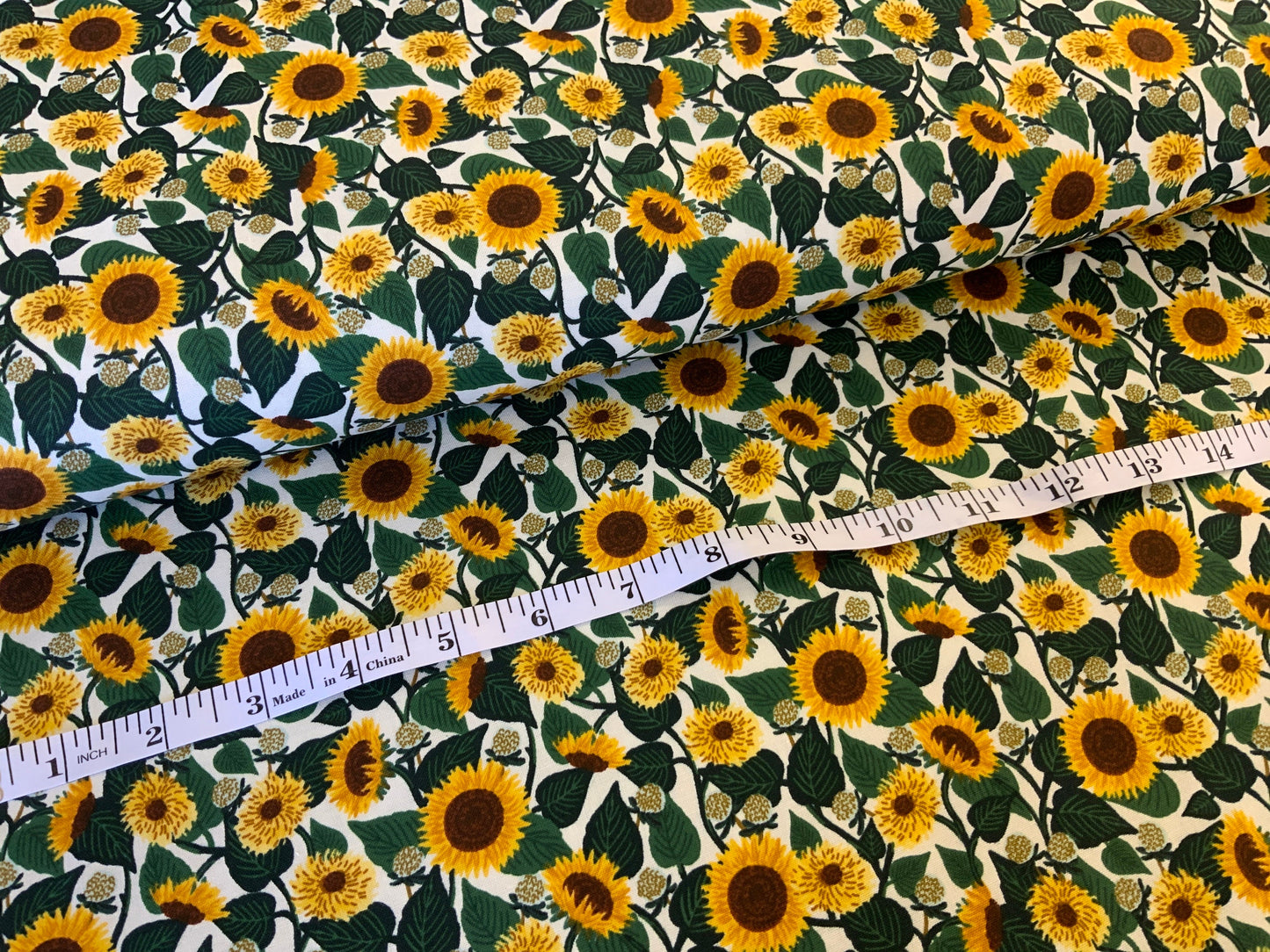 Sunflower Blooms