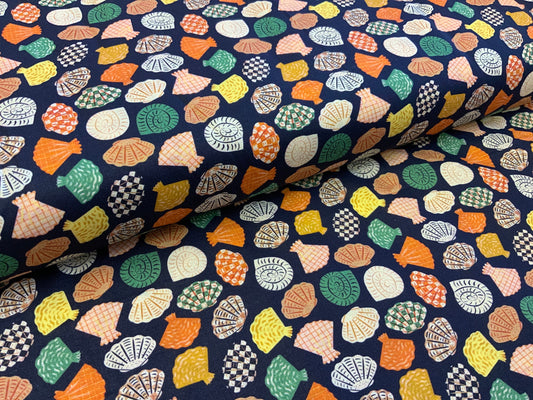 Seashells on the Shore