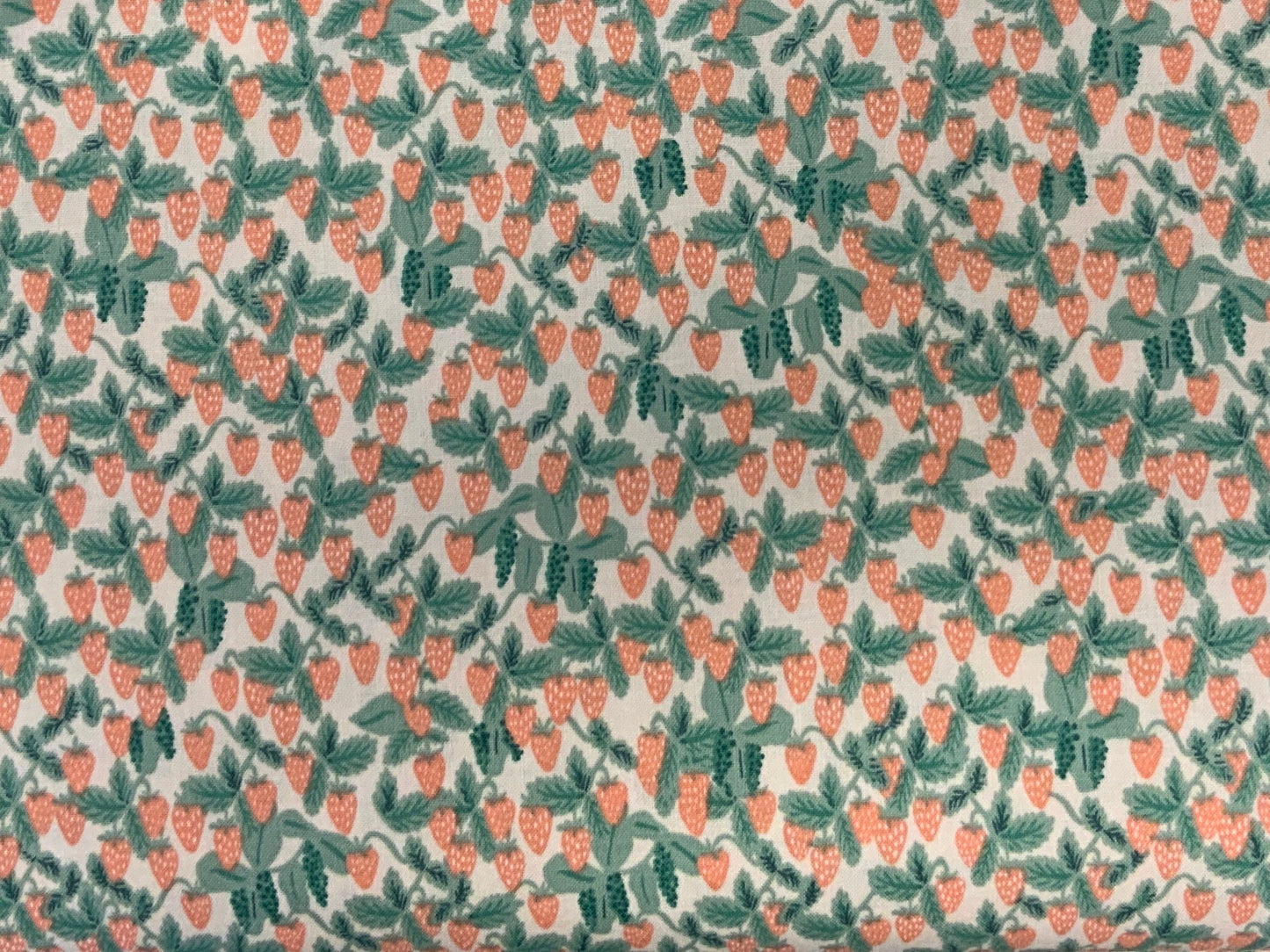 primavera-curio-rifle-paper-co-summer-strawberry-rp306-bl2