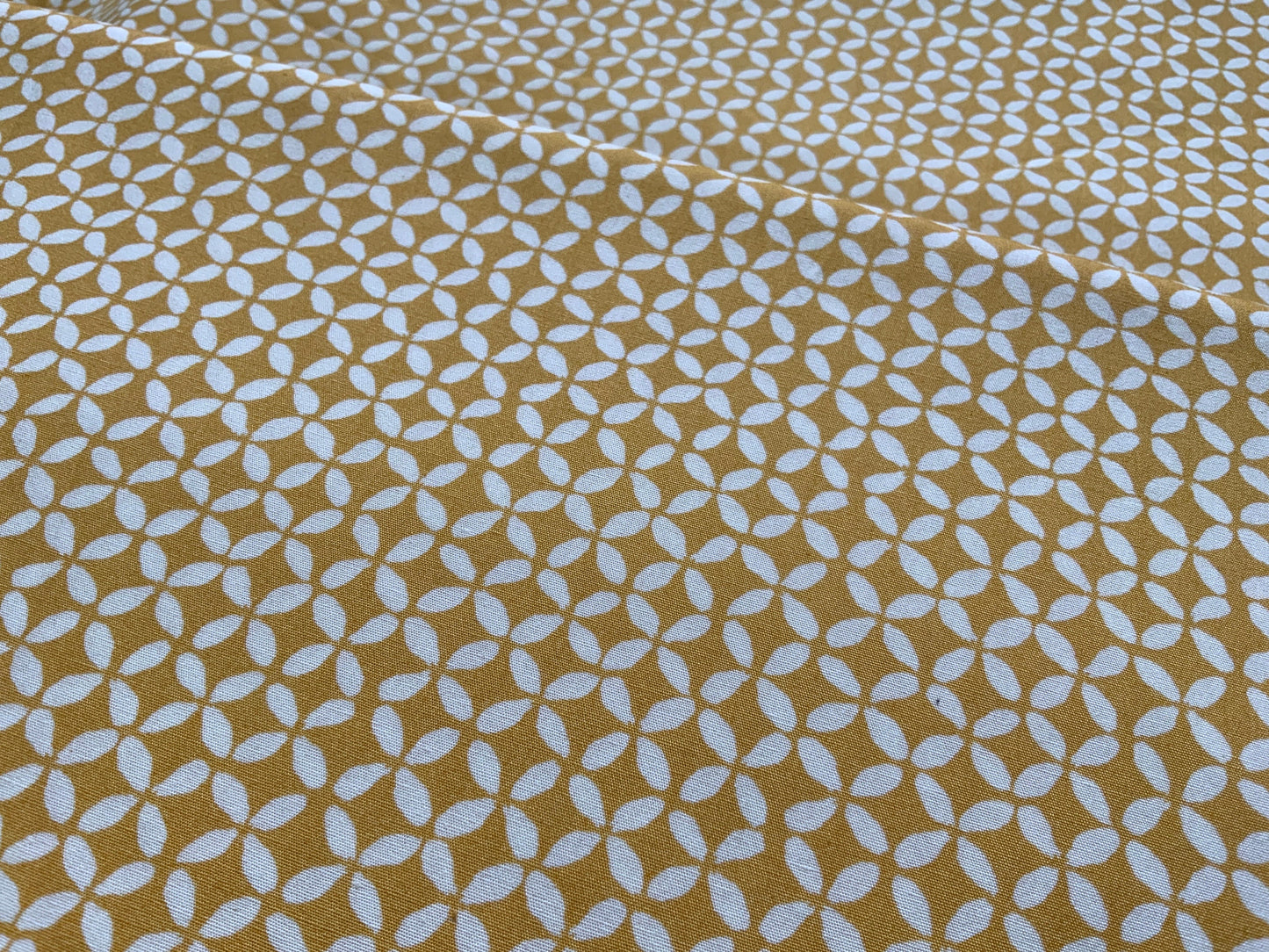 agf-the-open-road-tor-13861-yellow-sunny-summer