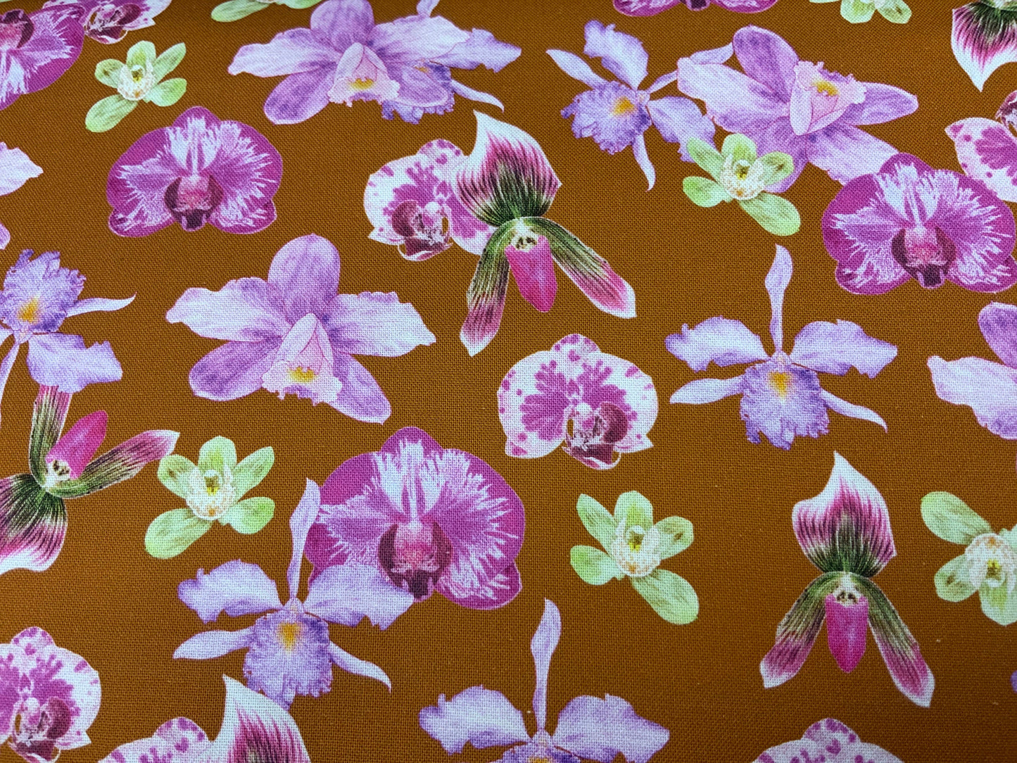 Lavender Orchids - Rust