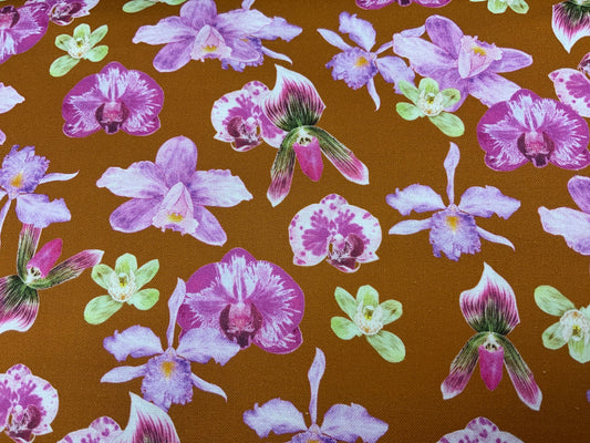 Lavender Orchids - Rust