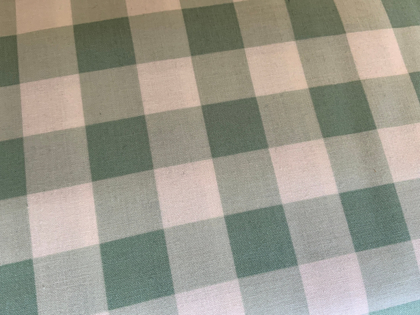 Mint Buffalo Check