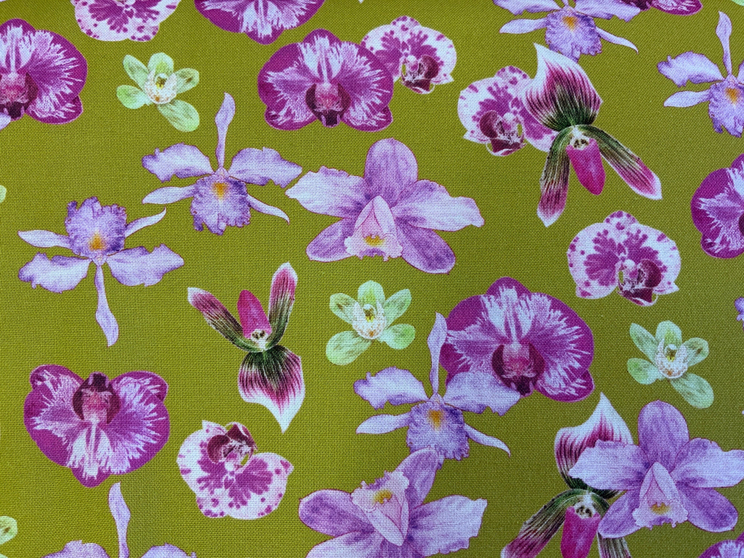 Mustard Floral Orchids