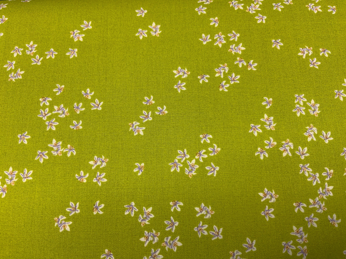Ditsy Floral Green