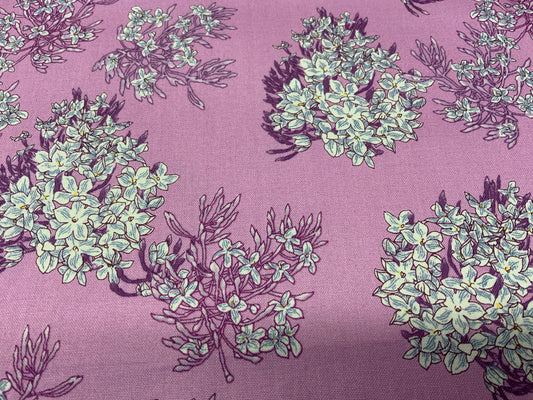 Lilac Jasmine Floral