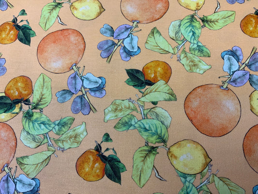 Summer Citrus on Orange