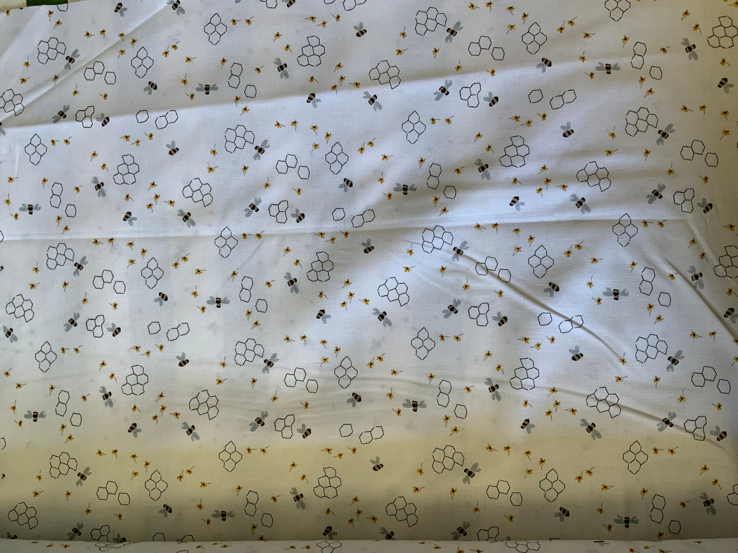 Bumble Bee Honeycomb