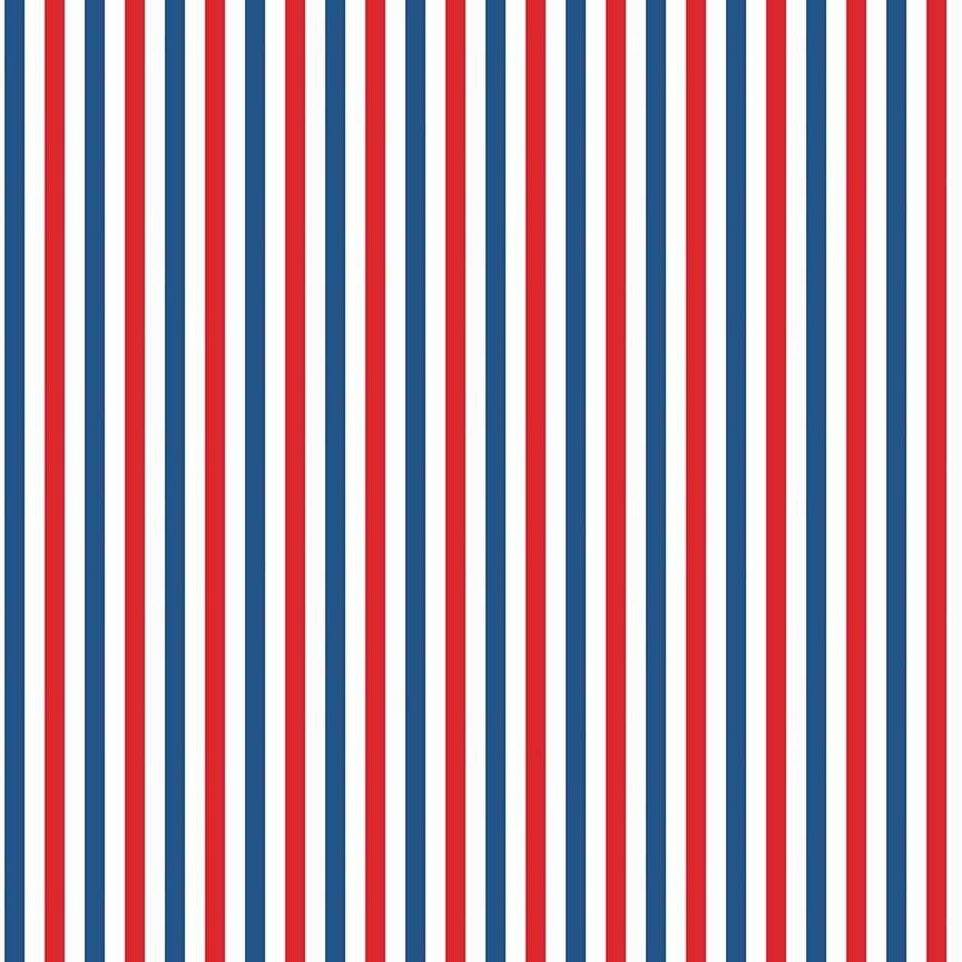 Firecracker Stripes Multi