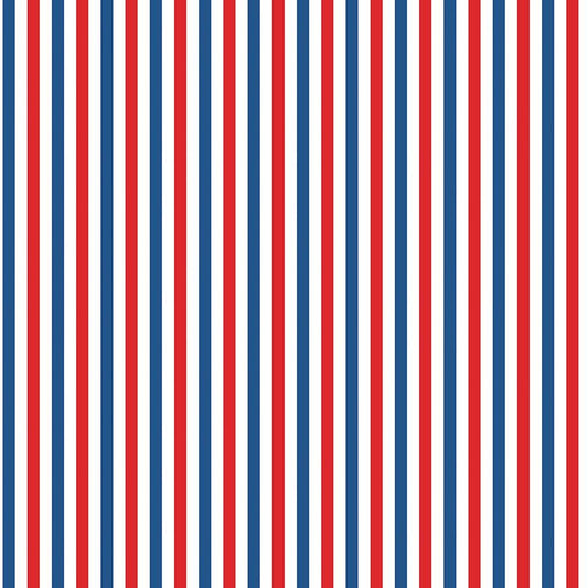 Firecracker Stripes Multi