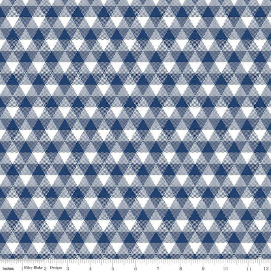 Land of Liberty Triangle Gingham Navy